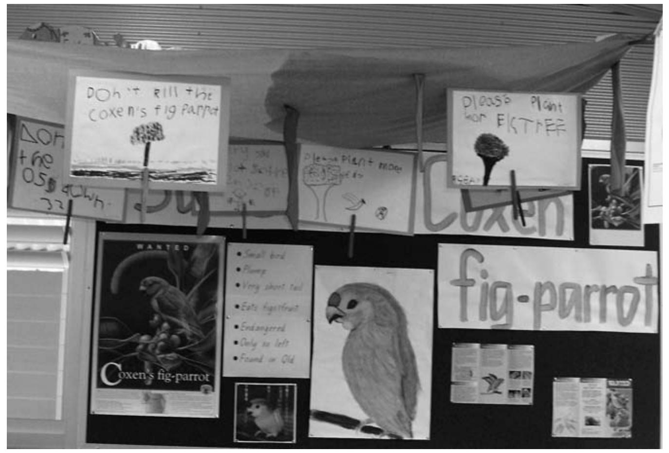 Figure 12.1 Class display of signs children made to plead for support for the recovery of the Coxens’ fig-parrot population 
