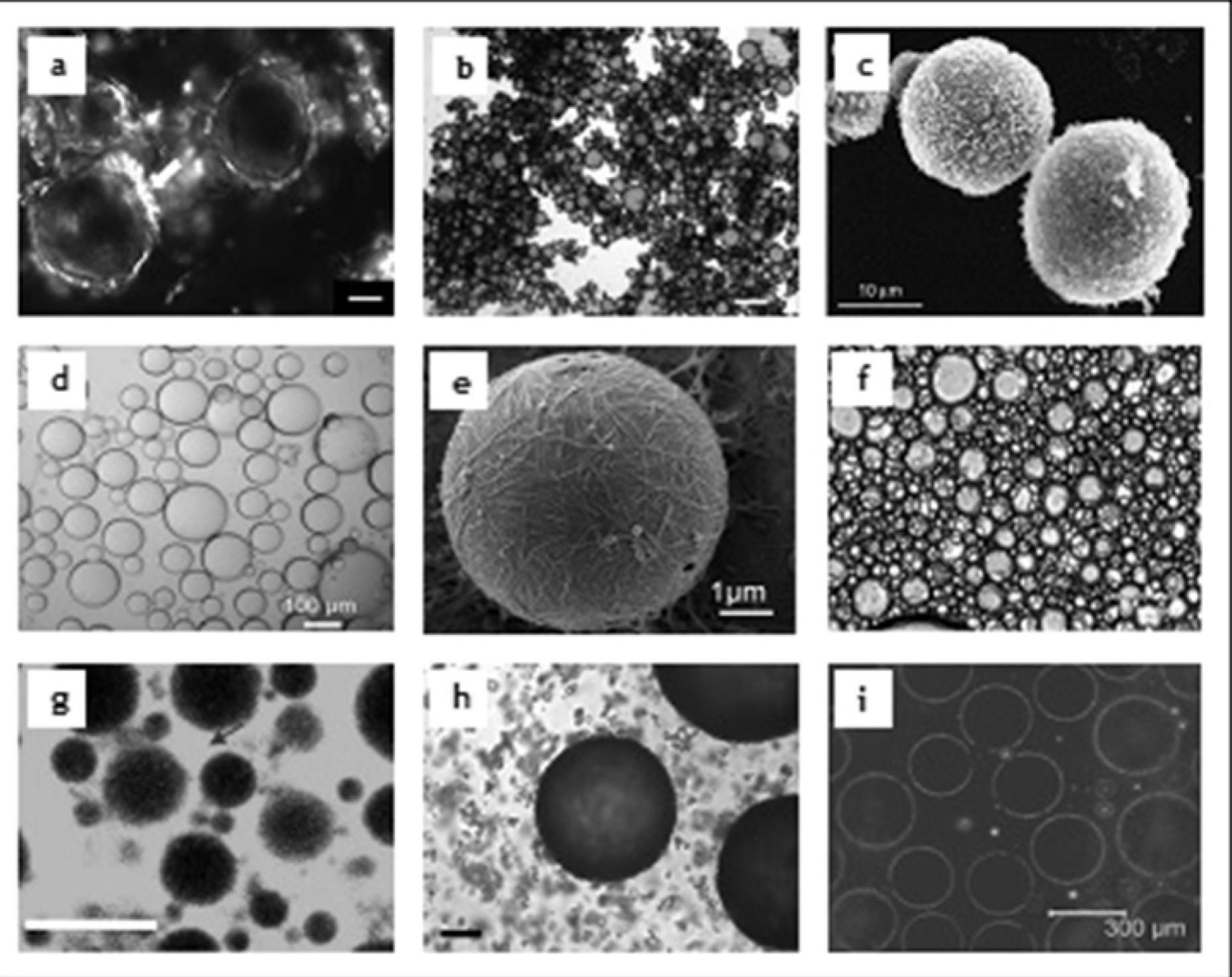 Microemulsion Stabilization (PDF) Food-grade particles for emulsion stabilization