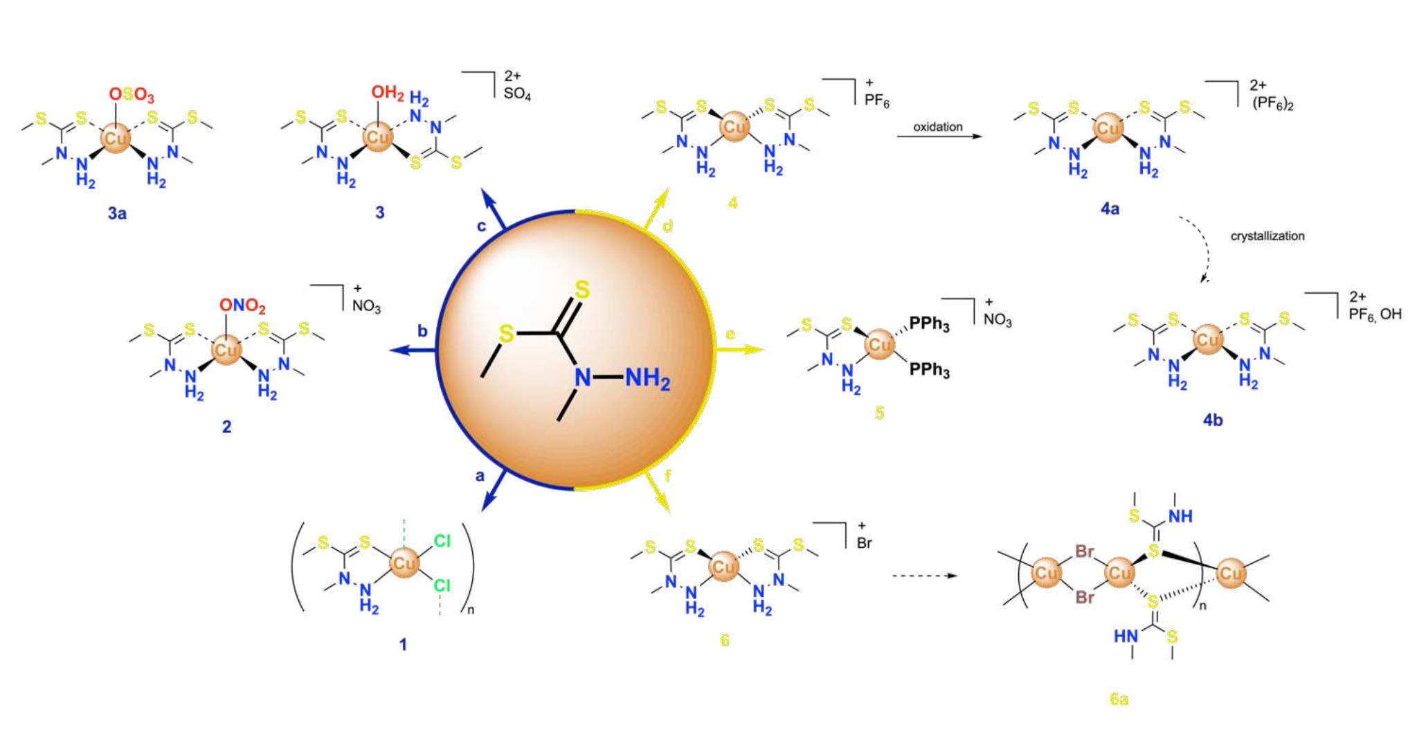 (PDF) Copper(II) and copper(I) complexes with a bidentate hydrazinic ...