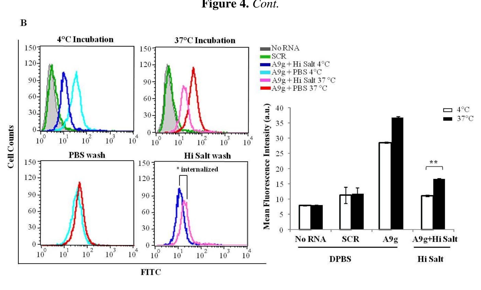 2.5. assessment of aptamer internalization into cells by