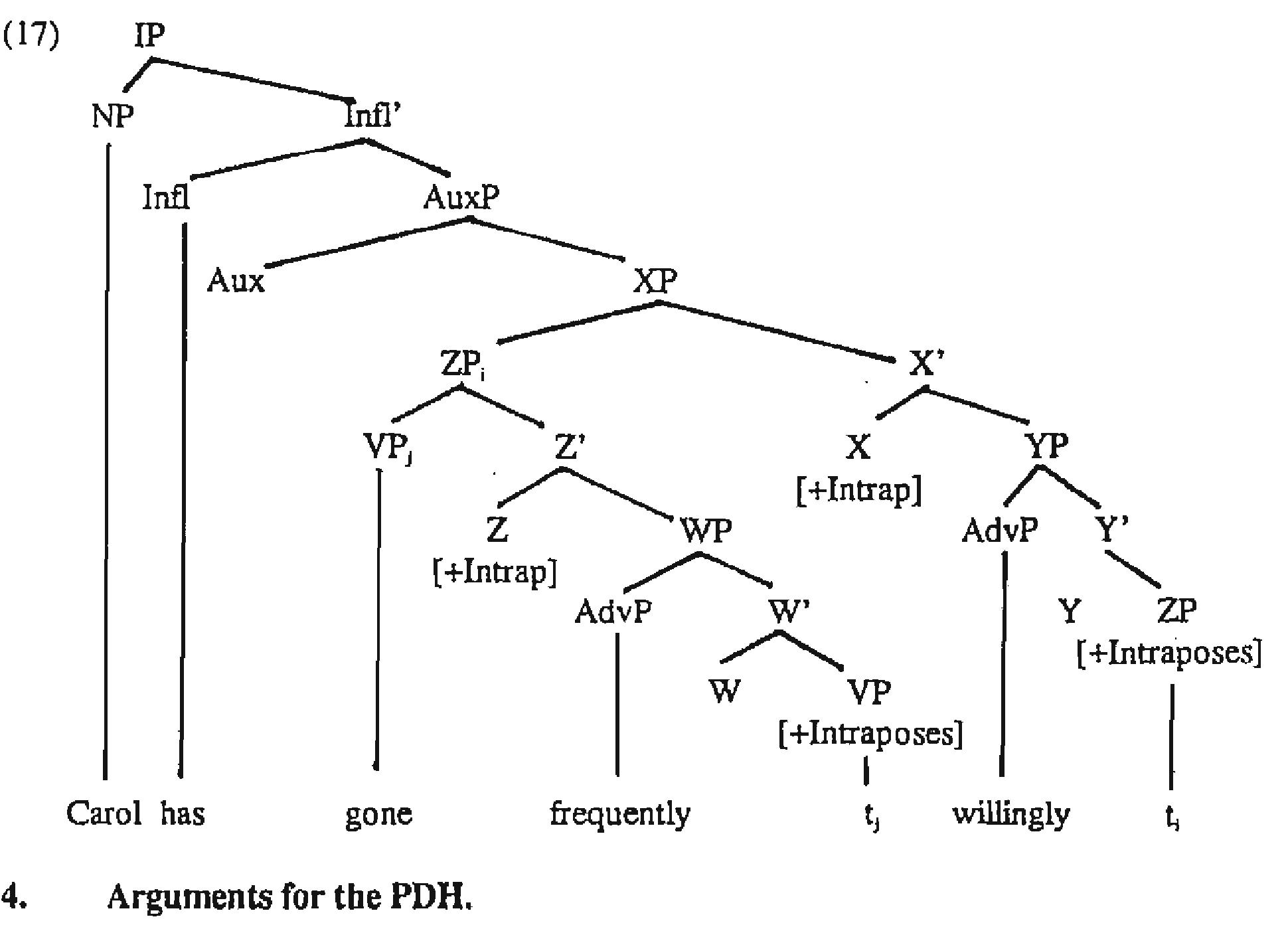 (PDF) Adjuncts, The Universal Base, and Word Order Typology