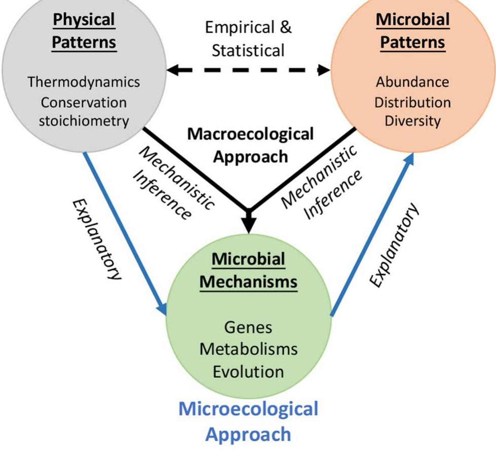 (PDF) Microbial macroecology: In search of mechanisms governing ...