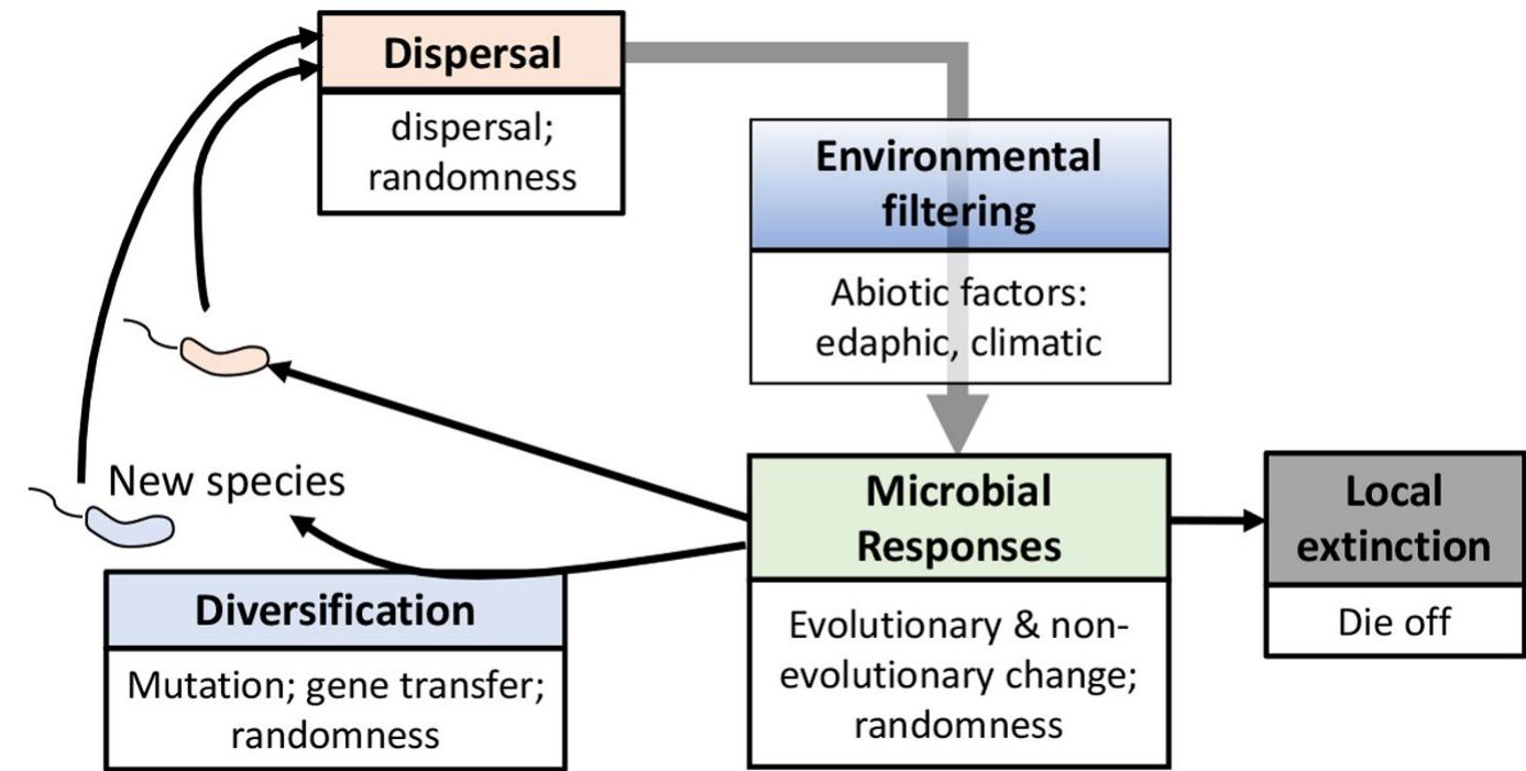 Microbial Evolution Scale (PDF) Microbial macroecology: In search of mechanisms governing ...