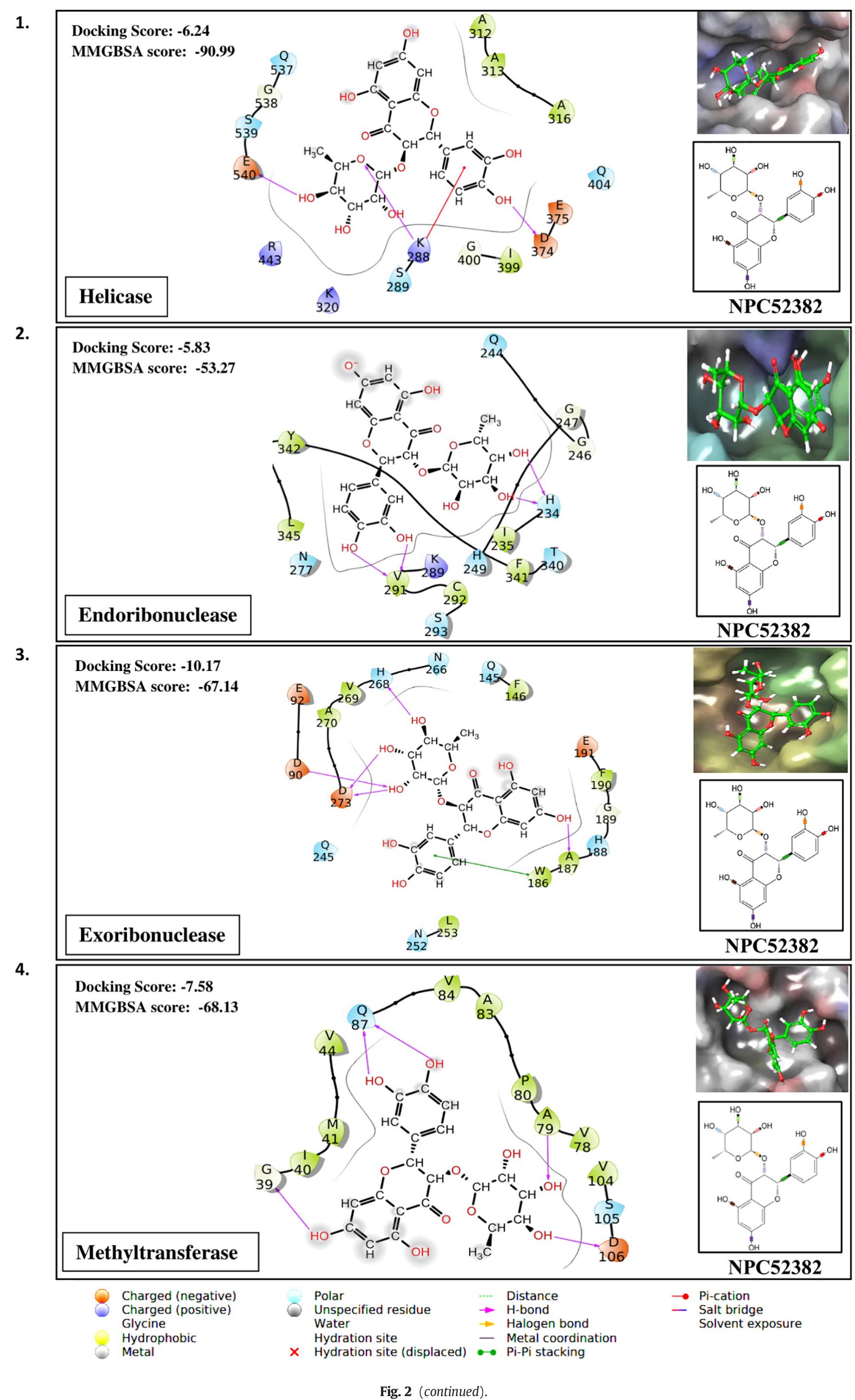 Figure 4 - High throughput virtual screening reveals
