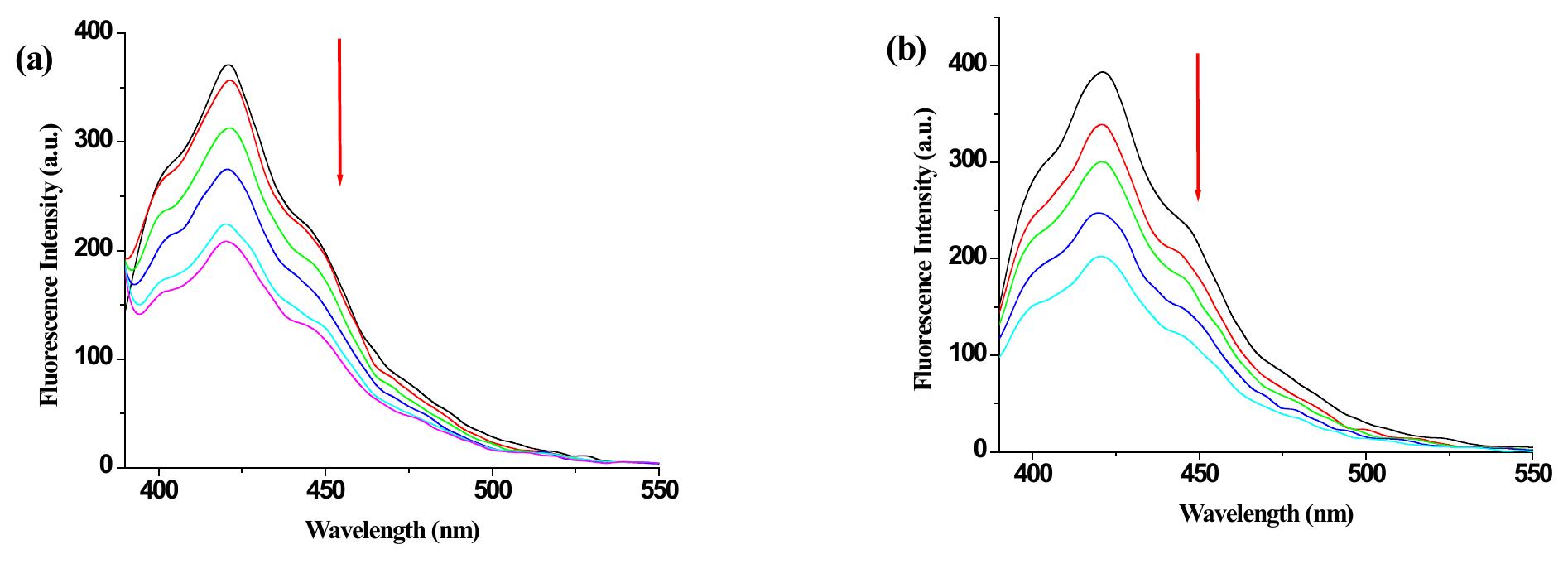 Figure 13S. Fluorescence emission spectra of 1.Hg”* complex in THF-H,O ( 10 mmol HEPES, pH 7.4, 3:1, v/v) upon addition of 30 equiv. amounts of (a) Cysteine and (b) Homocysteine.  13. Change in emission of “1-Hg”*” ensemble upon addition of Cys and Hcy in THF: H,0O (pH 7.4, HEPES buffer 10 mmol, 3:1, v/v) 