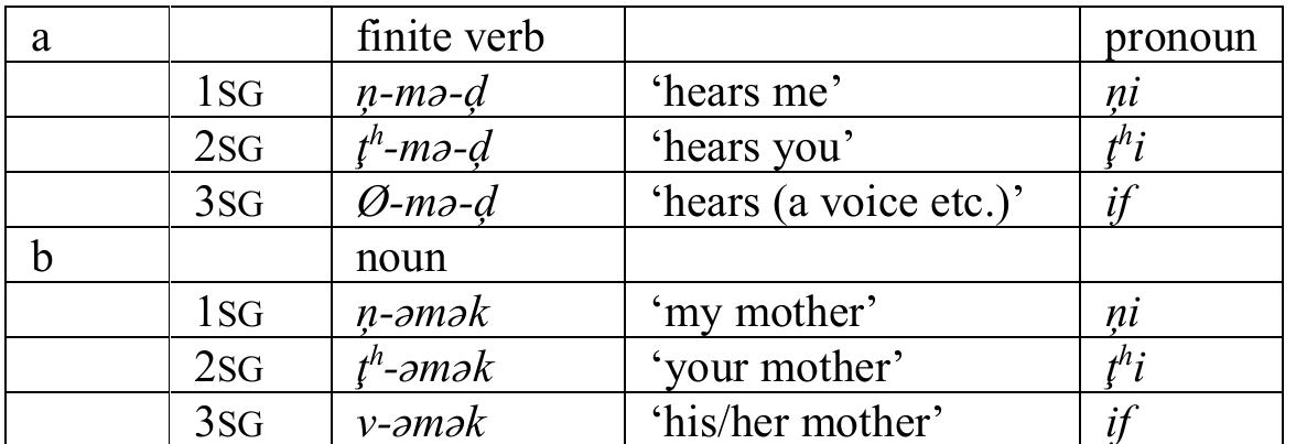 (PDF) Reconstructing morphology in historical-comparative linguistics