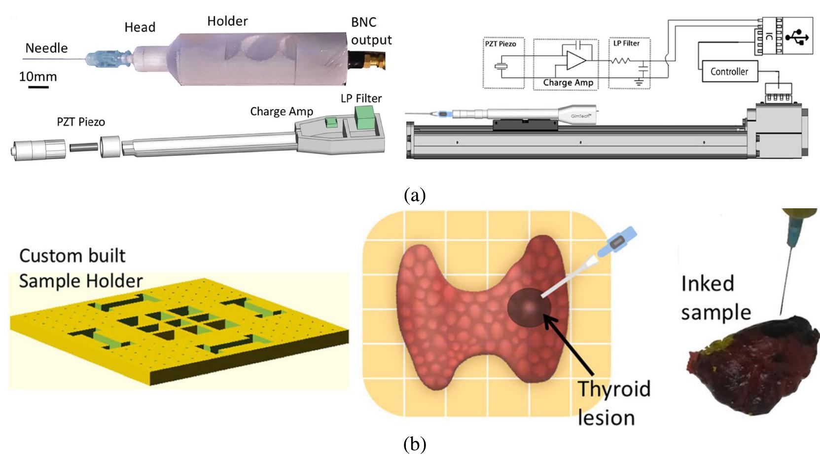 Embedded Needle (a) schematic of the needle embedded with piezoelectric