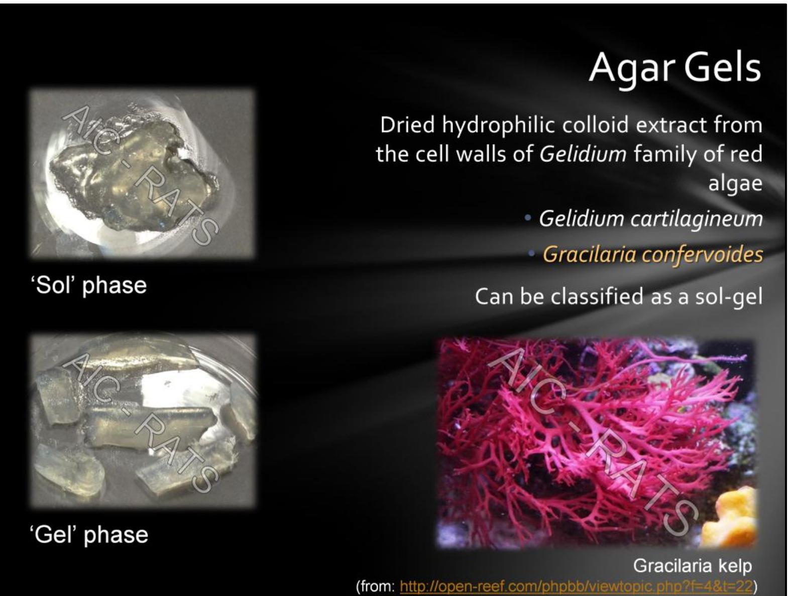 Agar is a rigid gel derived from the cell walls of a species