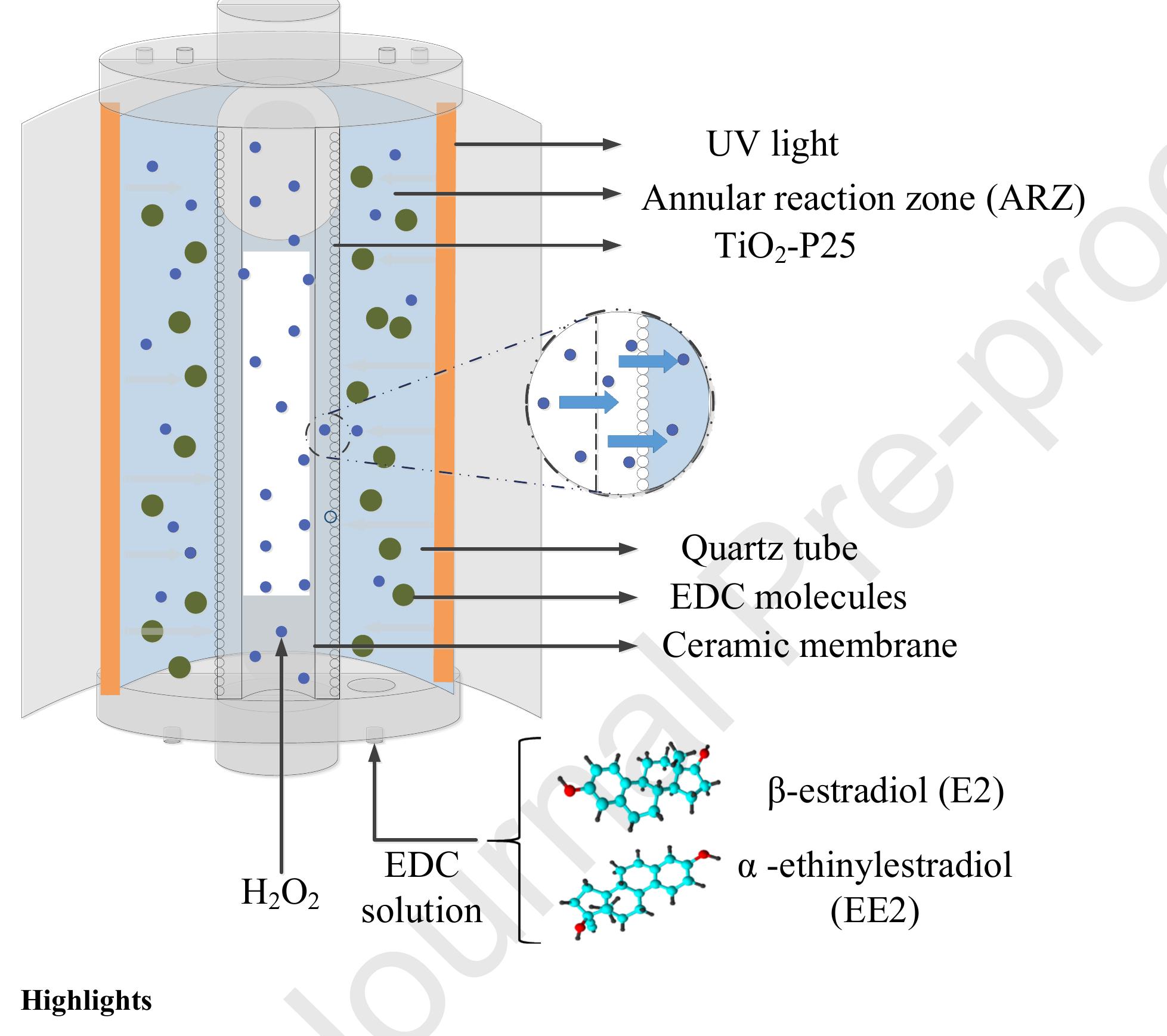 (PDF) Tube-in-tube membrane reactor for heterogeneous TiO2 ...