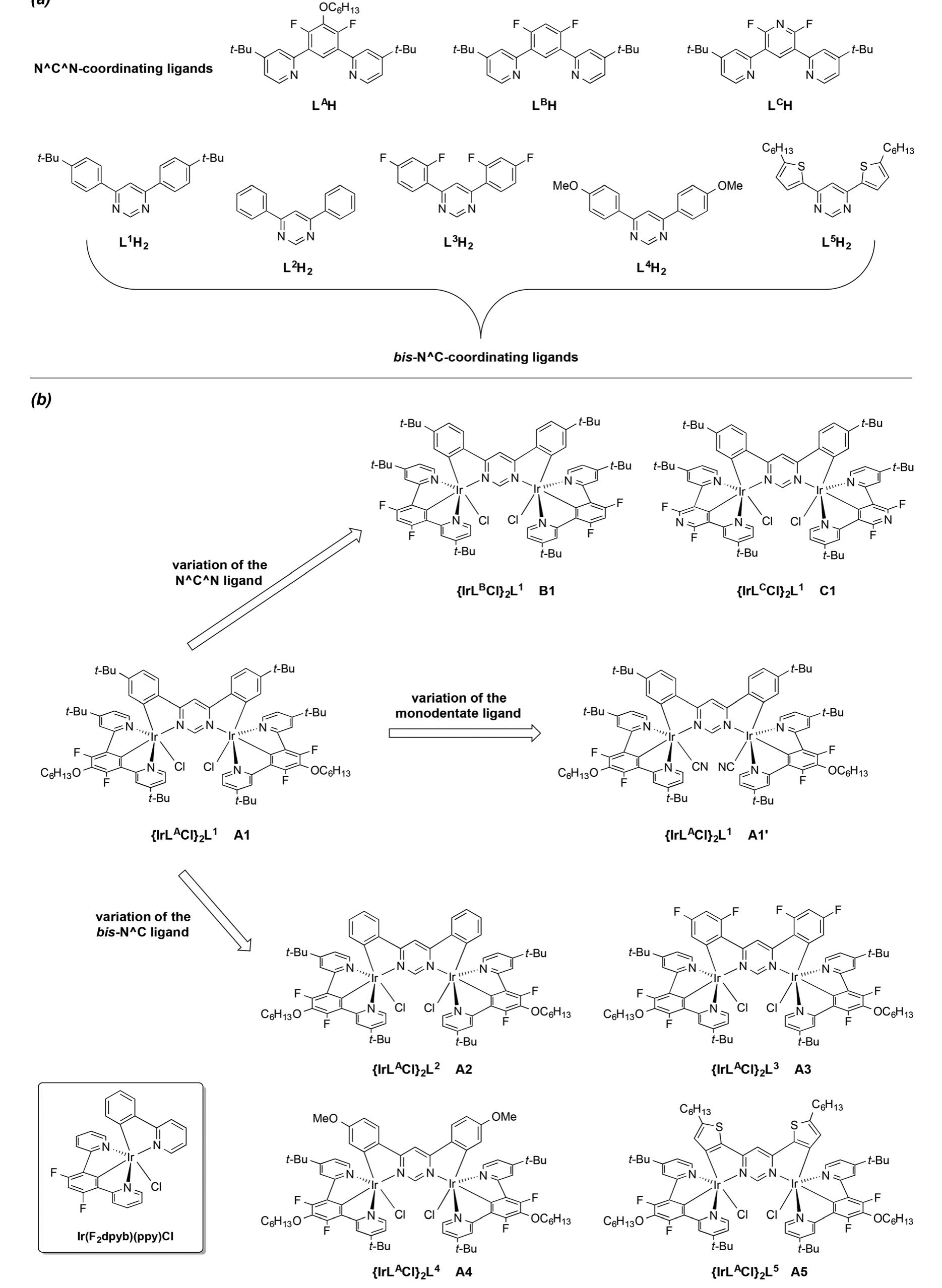 Structural formulae of the ligands (a) and complexes (b)