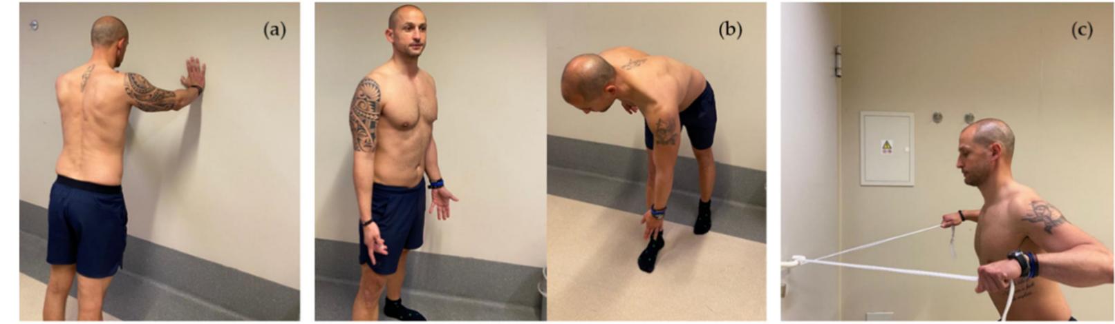 (PDF) Scapular Dyskinesis: From Basic Science to Ultimate Treatment