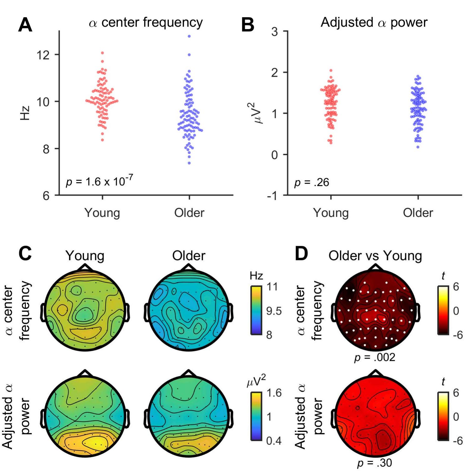 (PDF) Age differences in aperiodic neural activity measured with ...