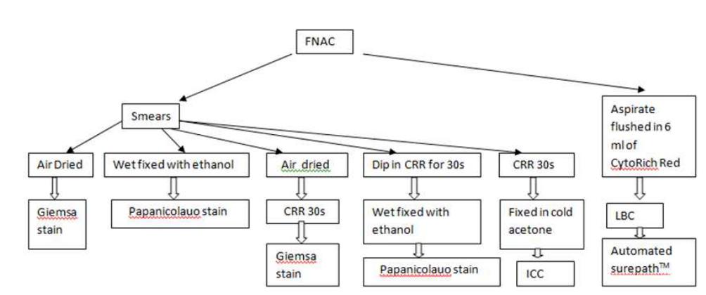 Cytorich (PDF) Cytorich fixative system- A new modality in haemorrhagic fine ...