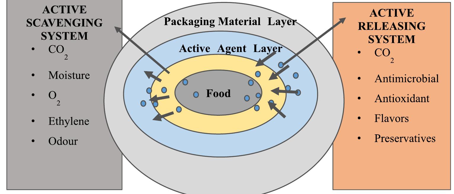 (PDF) Innovations in Packaging to Monitor and Maintain the Quality of ...