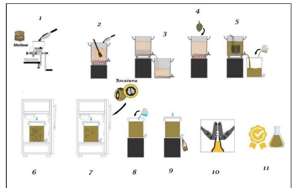 Beer Manufacturing Study (PDF) Production and characterization of craft beers with different ...