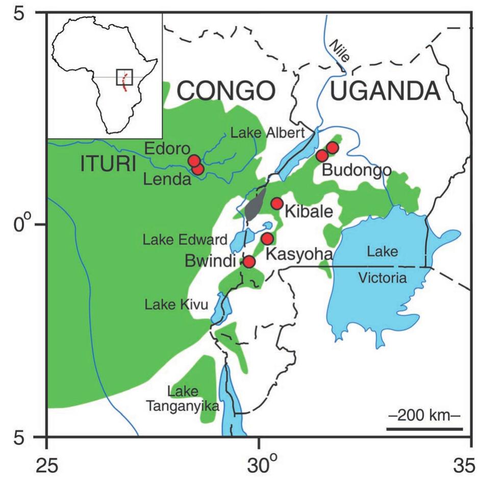 (PDF) Composition and species richness of forest plants along the ...