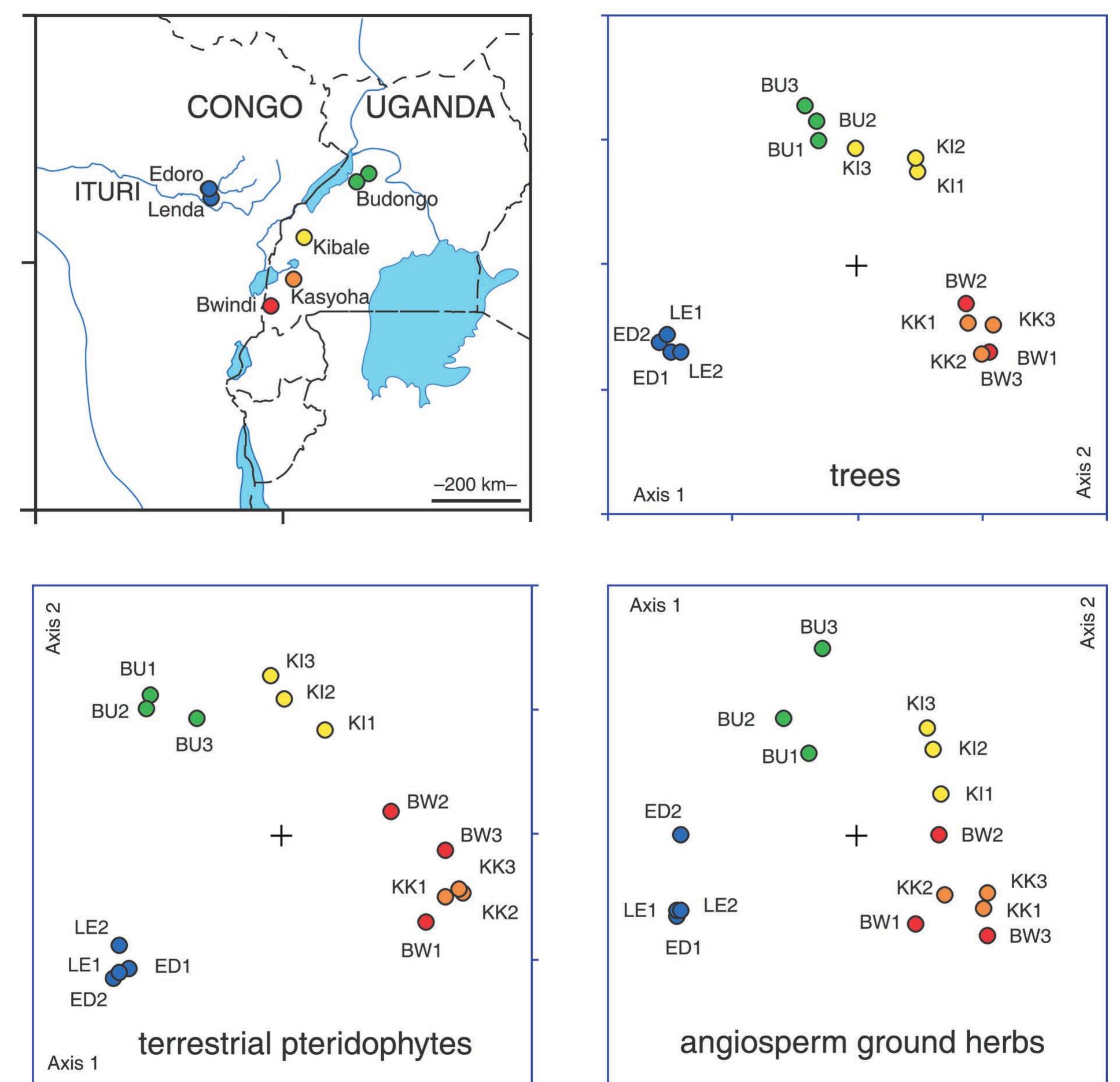 (PDF) Composition and species richness of forest plants along the ...