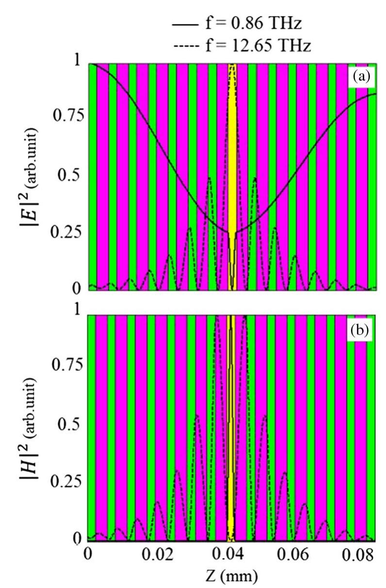 (a) the normalized transverse electric field intensities and