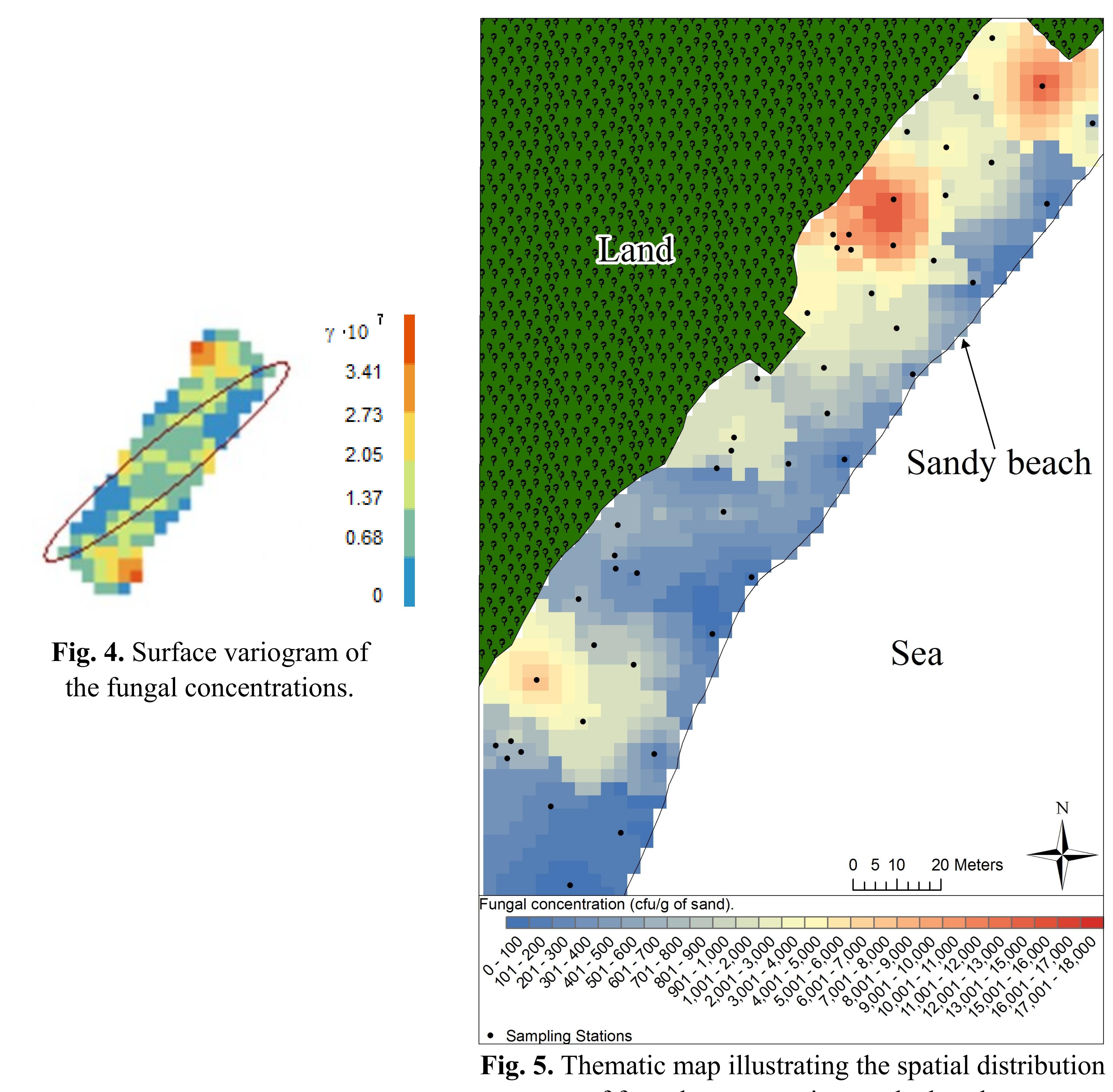 (PDF) Quantitative estimation and sampling optimisation of fungi in ...