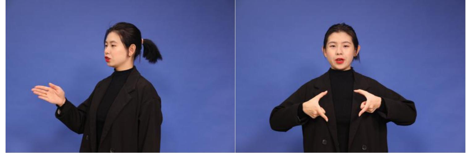 (PDF) The Influence of Chinese Characters on Chinese Sign Language