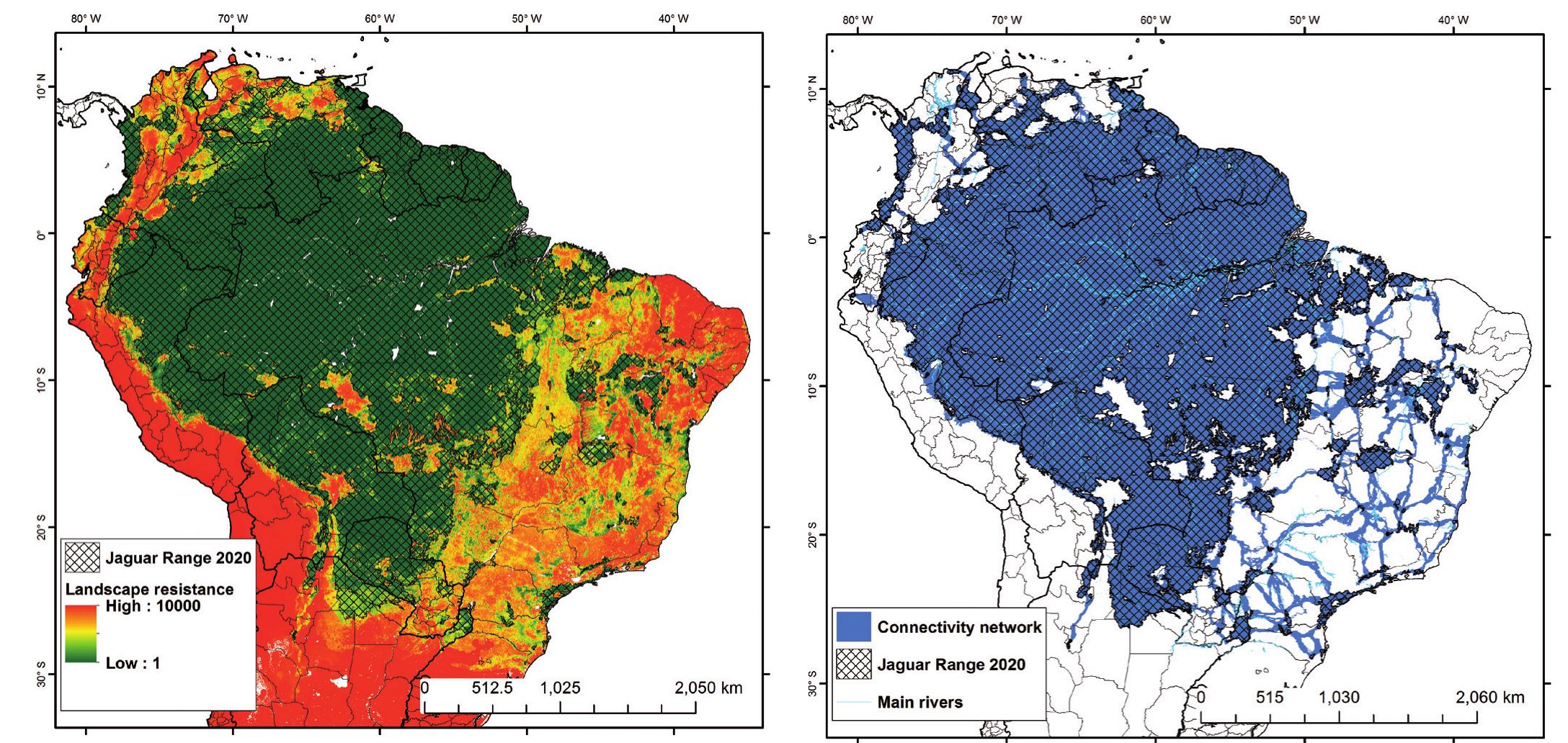 (PDF) Landscape connectivity analysis and the proposition of the main ...