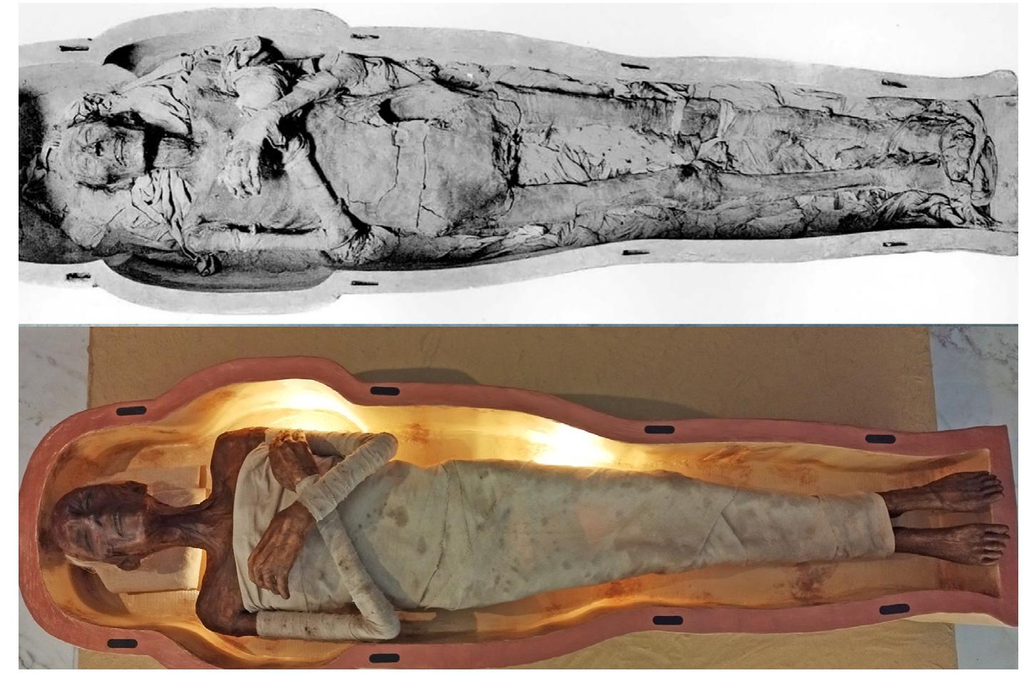 (PDF) Caress the pharaoh. The tactile reproduction of Ramses II's ...