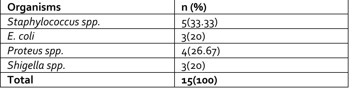 (PDF) Antibiogram and Microbial Carriage of Campus Buses and Keke Napep ...