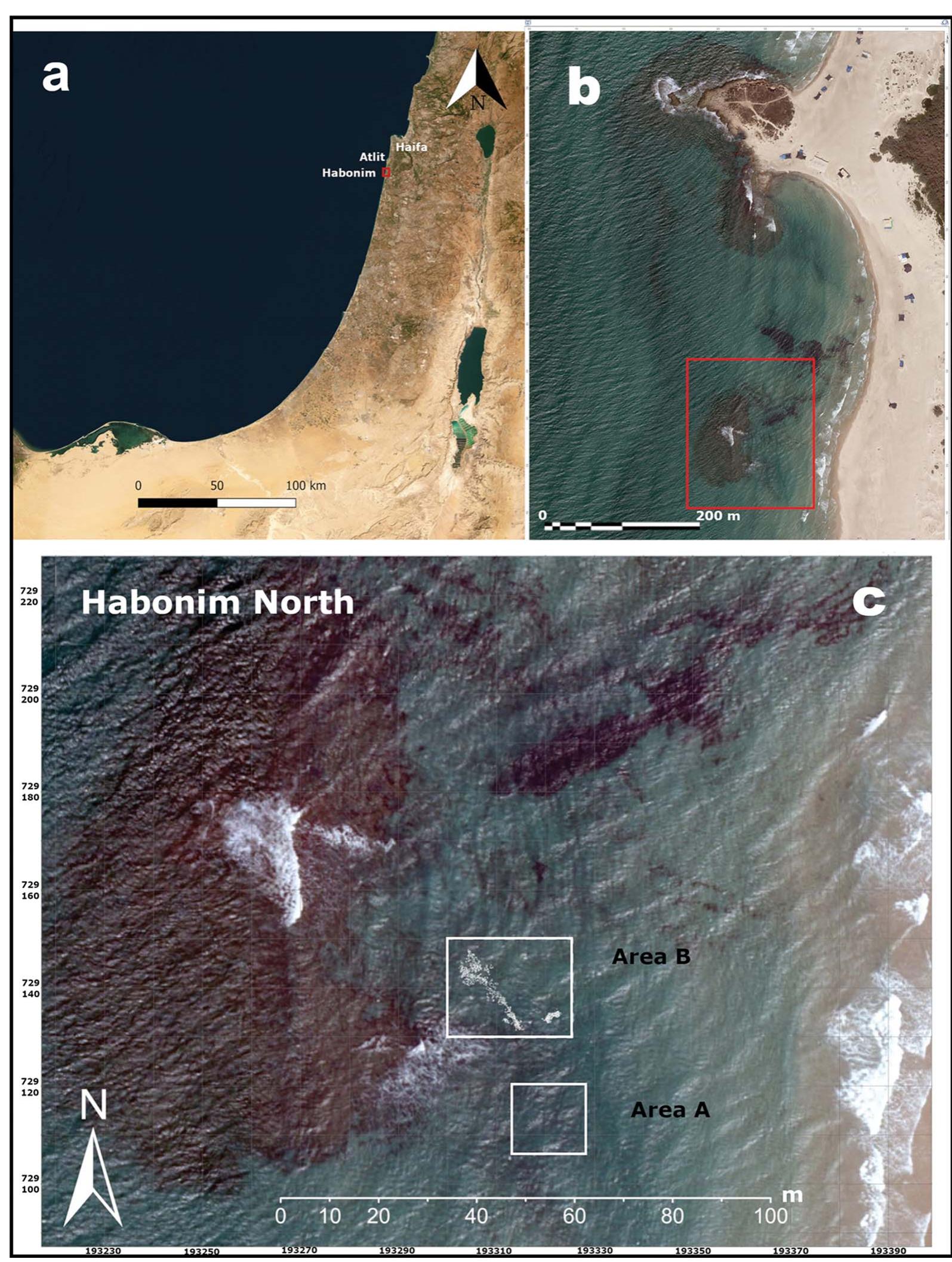 Cermel Mapi (PDF) Continuity and climate change: the Neolithic coastal settlement ...