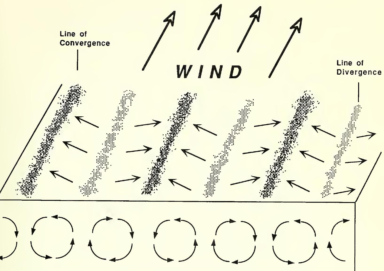 ウォンキーキャンプ　KP Fold -WANTKEY exclusive- PDF) Postrelease monitoring of radio-instrumented sea otters in