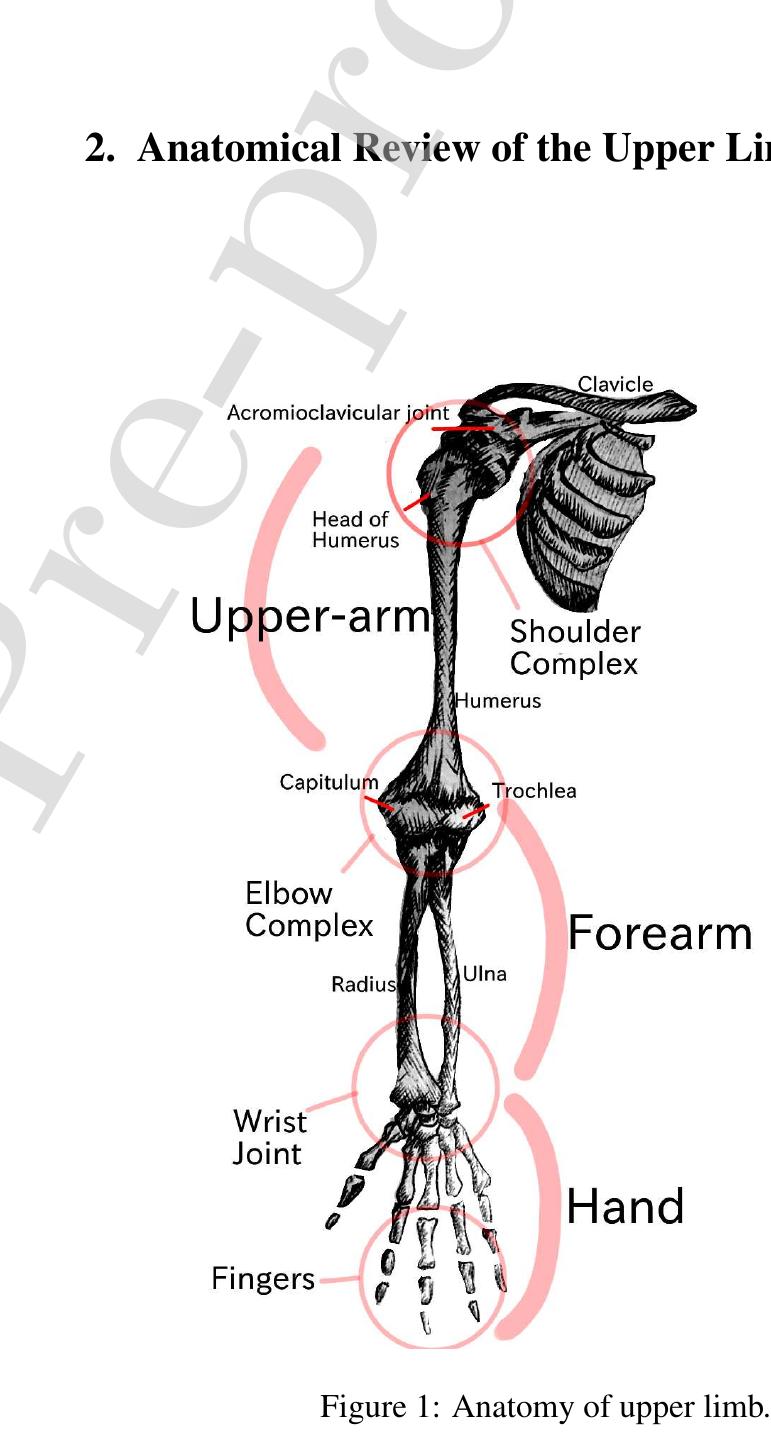 (PDF) Cable driven exoskeleton for upper-limb rehabilitation: A design ...