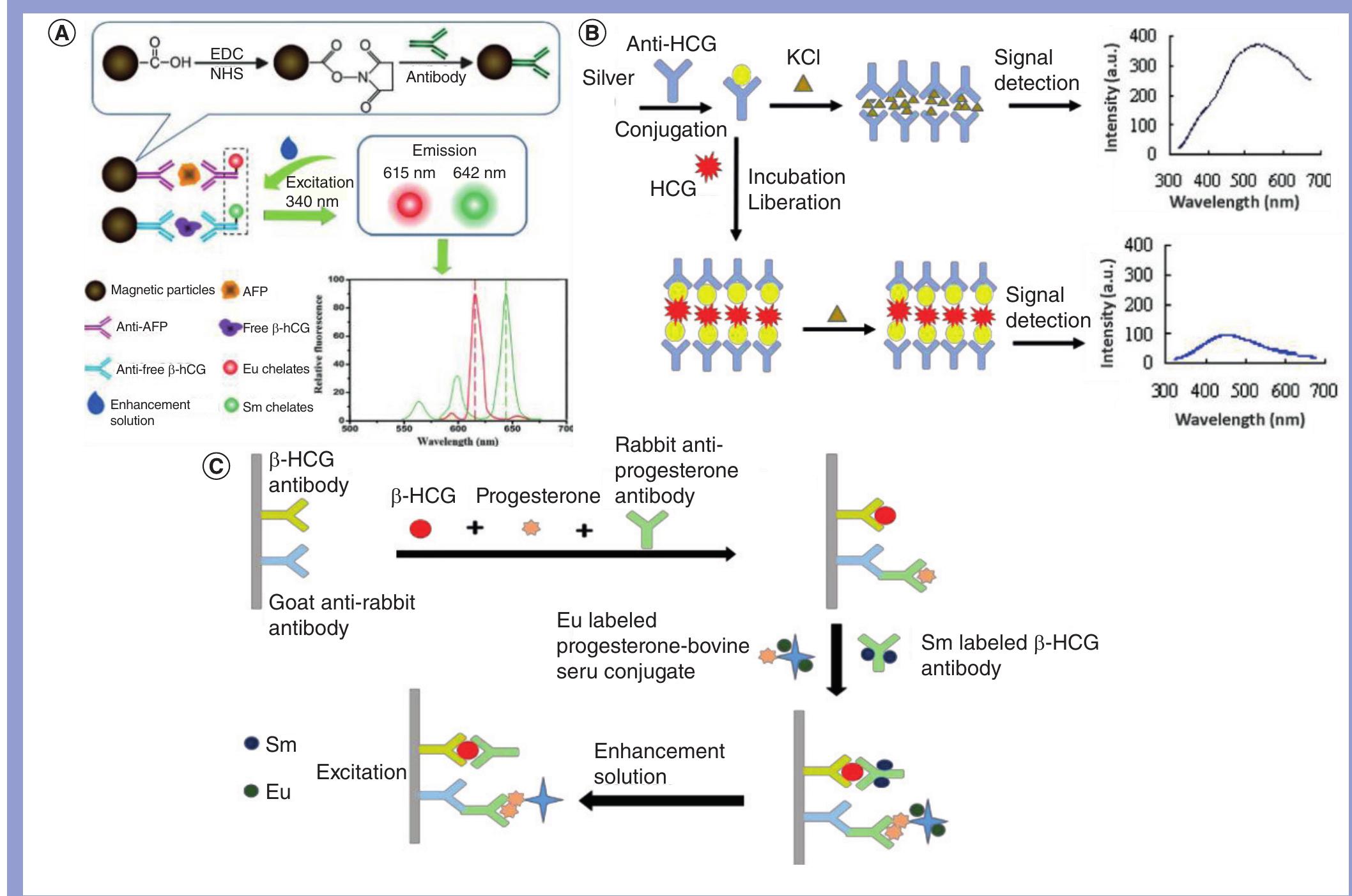 (PDF) Advances in human chorionic gonadotropin detection technologies ...