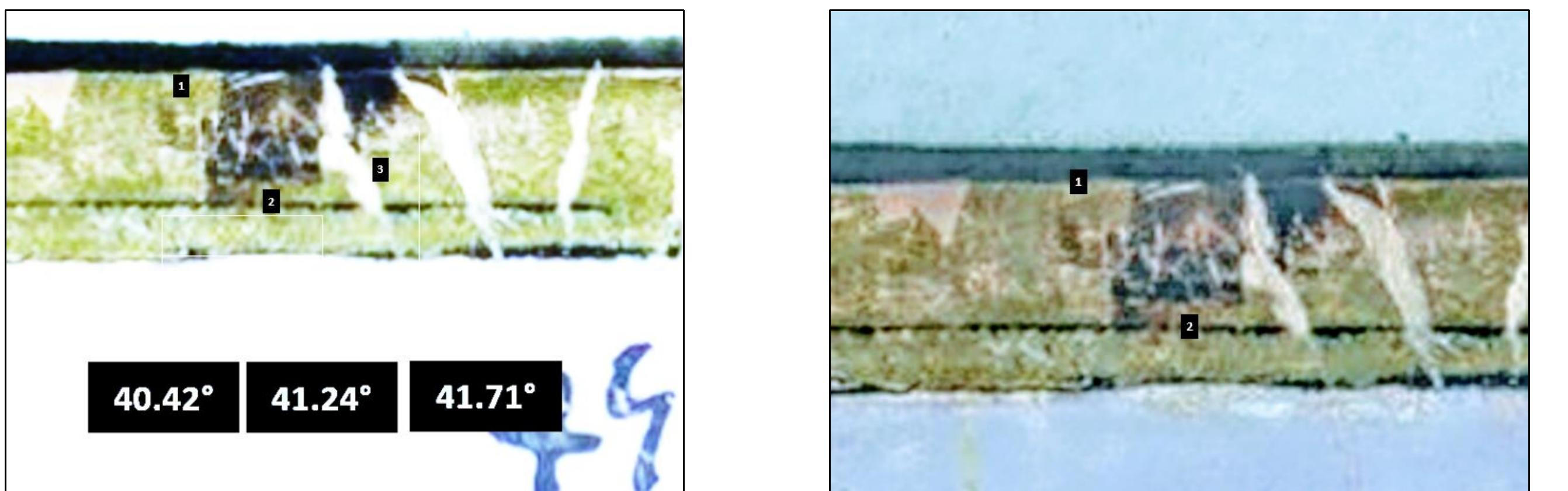 Figure 46. Snippet images of the northern part of the 2”" Map of the North (Scandinavia) from the a. 1467 Geography produced by Nicolaus Germanus. Germanus inserted an arrangement of tower icons on the margin of this map at 72° latitude. Image source: Biblioteka Narodowa, Zamoiski Codex; https://polona.pl/item/cosmographia-claudii-ptolomaei-alexandrini- mathematicorum-principis-seculo-secundo,NzQ1NjM4Ne/12/#item.  