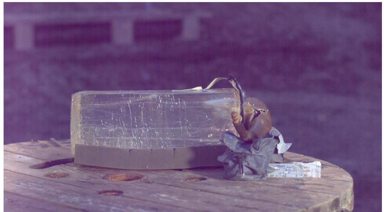 Figure 34. The ball shatters the horn, is split in two, and the two wound tracks can be seen being started as the ball passes into the ballistic gelatin block. 