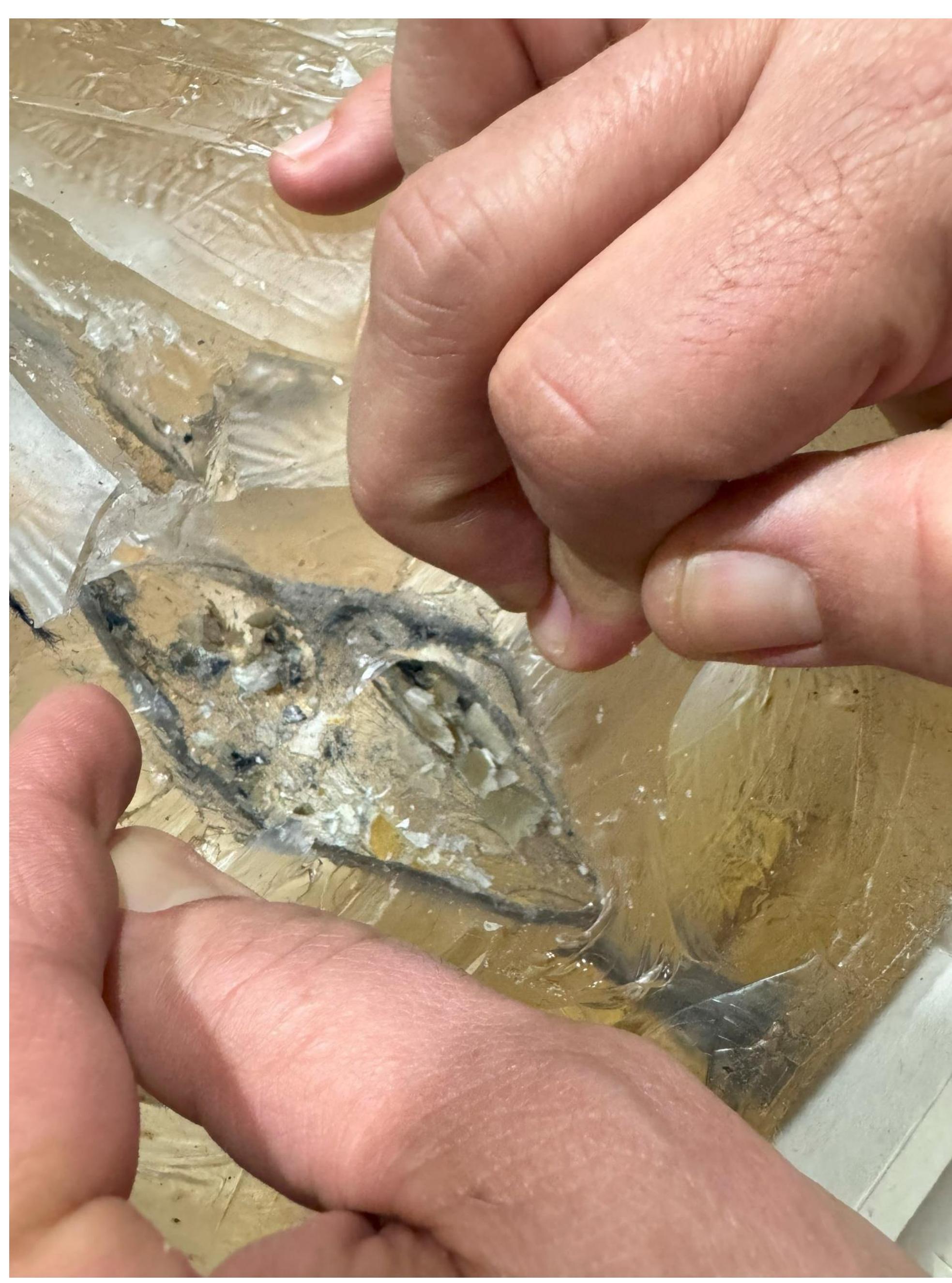 Figure 36. Horn shards and cloth fragments before removal from the ballistic gelatin wound track. 