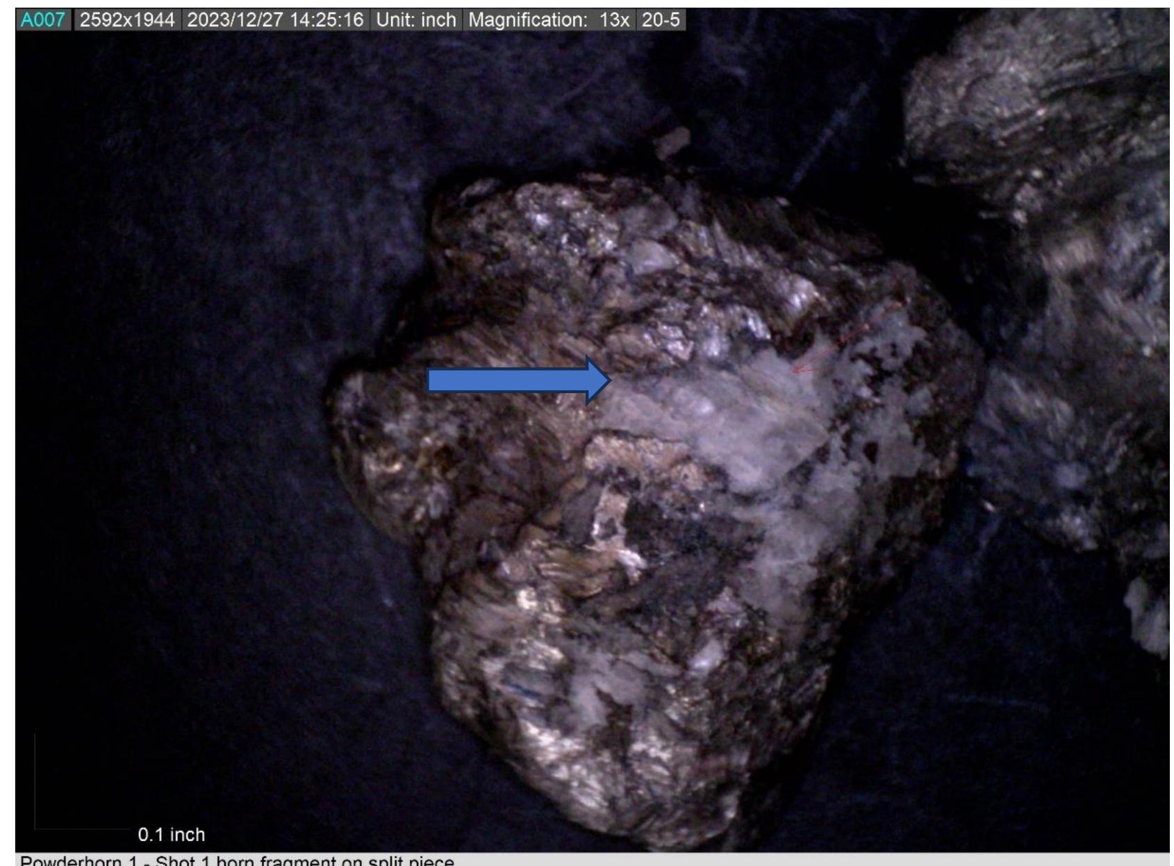 Figure 40. Photomicrograph of a piece of horn embedded in the split ball body. 