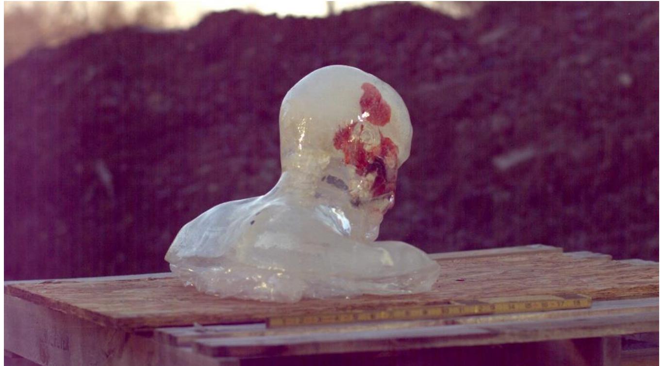 Figure 52. The bust after the immediate cavitation ceased. The red areas are synthetic blood oozing fron the fractured skull. 