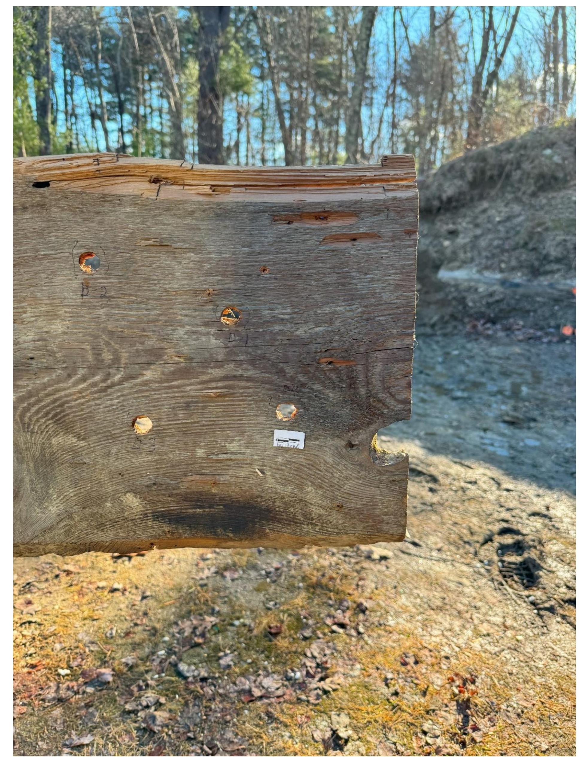 Figure 57. Entrance holes in the panel board caused by the .715-inch balls fired from the 1650 English lock musket. 
