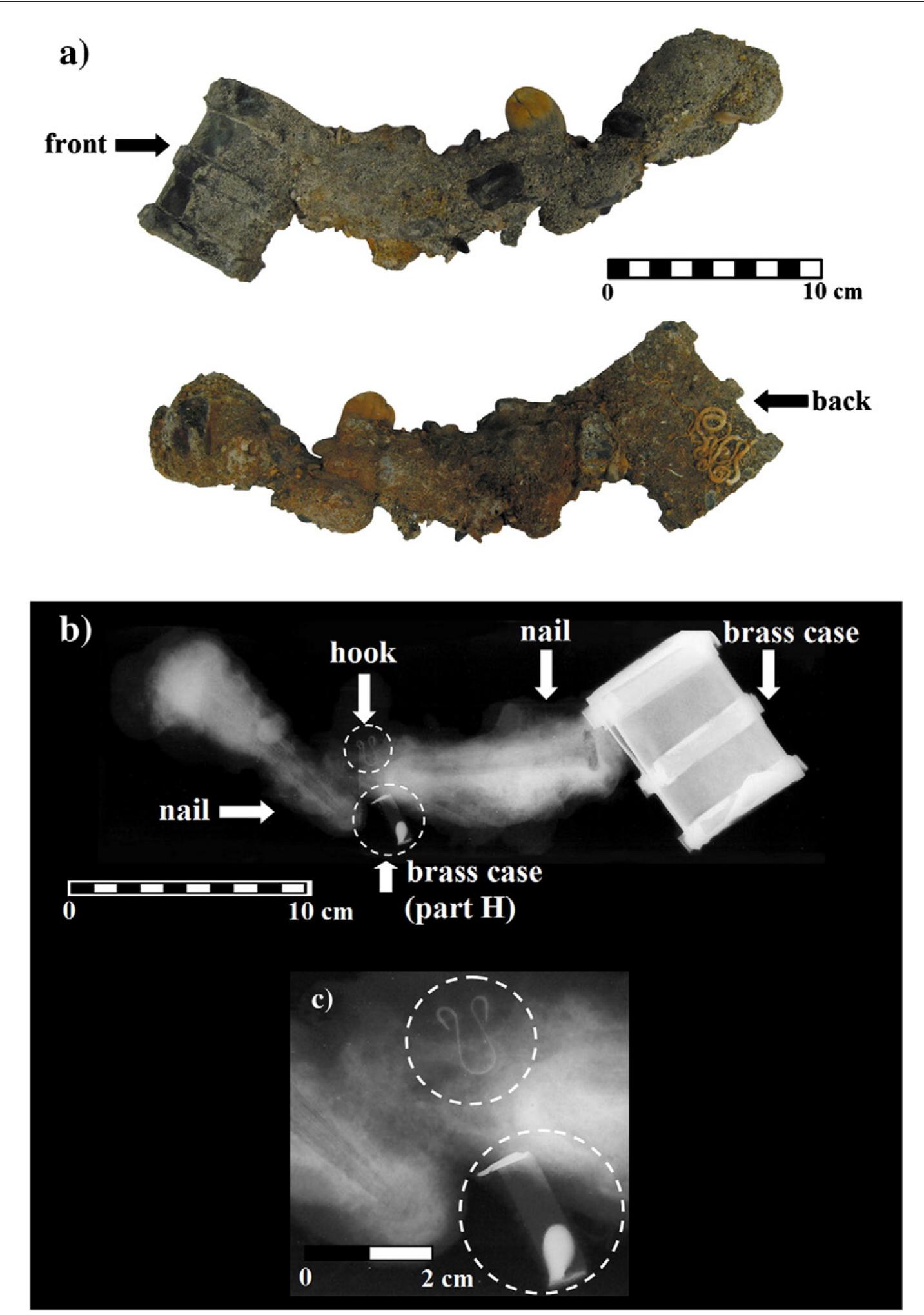 Fig. 5 - Brass case with marine encrustation containing two iron nails and one brass hook: (a) front and back of the case (Photograph: D. Cvikel); (b) preliminary radiographic image revealing the brass hook; and (c) enlargement of the radiographic image of the hook-and-eye closure and strap loop showing the soldering material (photograph: A. Stern).