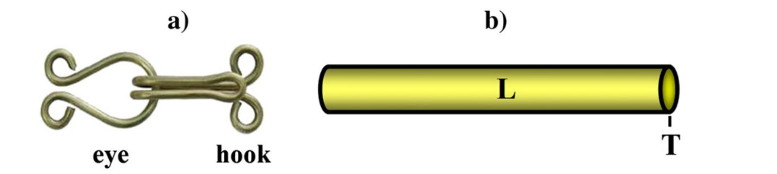 Fig. 6 - Typical hook-and-eye closure: (a) Hook and eye connected together, and (b) the metallographic (L and T) cross-sections used for the experimental analysis.