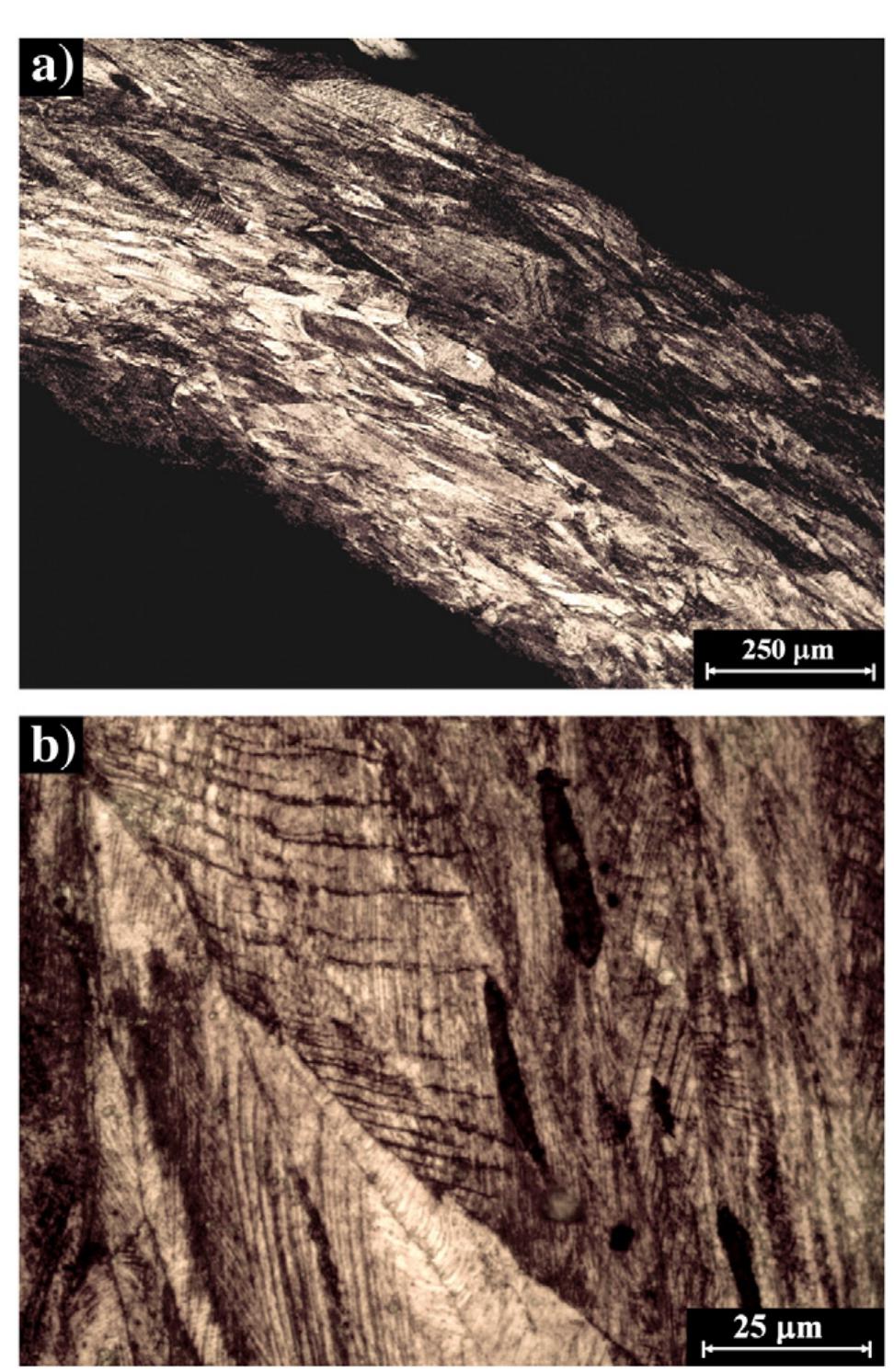 Fig. 13 - Metallographic optical microscopy examination of sample H8 hook-and-eye closure (eye, curved part, L-CS, after etching) revealed oriented elongated a-brass grains with: (a) slip bands, and (b) slip bands and elongated inclusions oriented in the direction of the cold-working process (higher magnification).