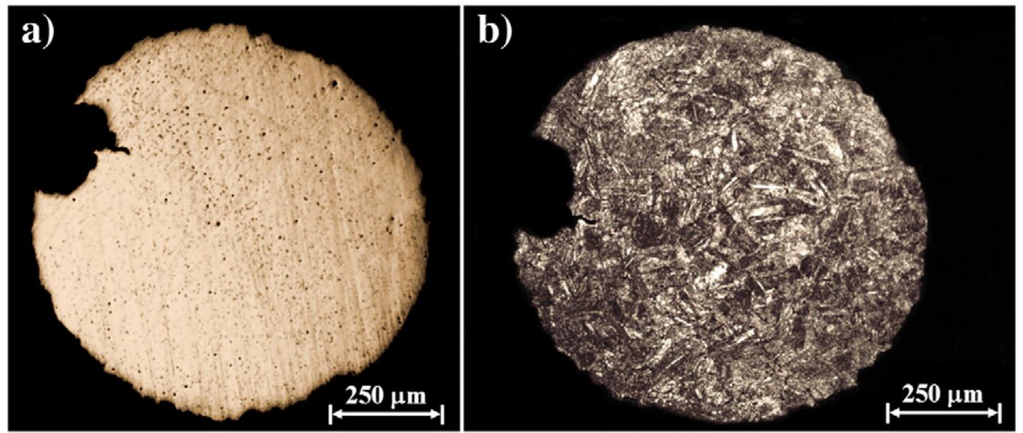 Fig. 14 - Metallographic optical microscopy examination of sample H13 hook-and-eye closure (hook, T-CS) revealed: (a) equiaxed (circular) inclusions (before etching), and (b) after etching, presence of equiaxed a-brass grains and deformation twins.  As a result of manufacturing by a thermo-mechanical process, an alignment of grains and inclusions was found in all the components, creating a microstructure with a distinc- tive preferred orientation. Metallographic OM examination of the brass hook-and-eye closure samples (before etching) presented oriented elongated inclusions at the L-CS, which indicated plastic deformation as a result of the shaping process  alloy is always a mixture of signatures of the alloying metals (and in consequence of their ores). As for the hook, the lead isotope result and its comparison with the reference data 