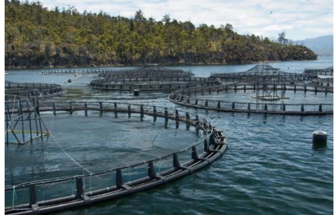 Ecological traits: marine aquafarms (i.e. mariculture) are
