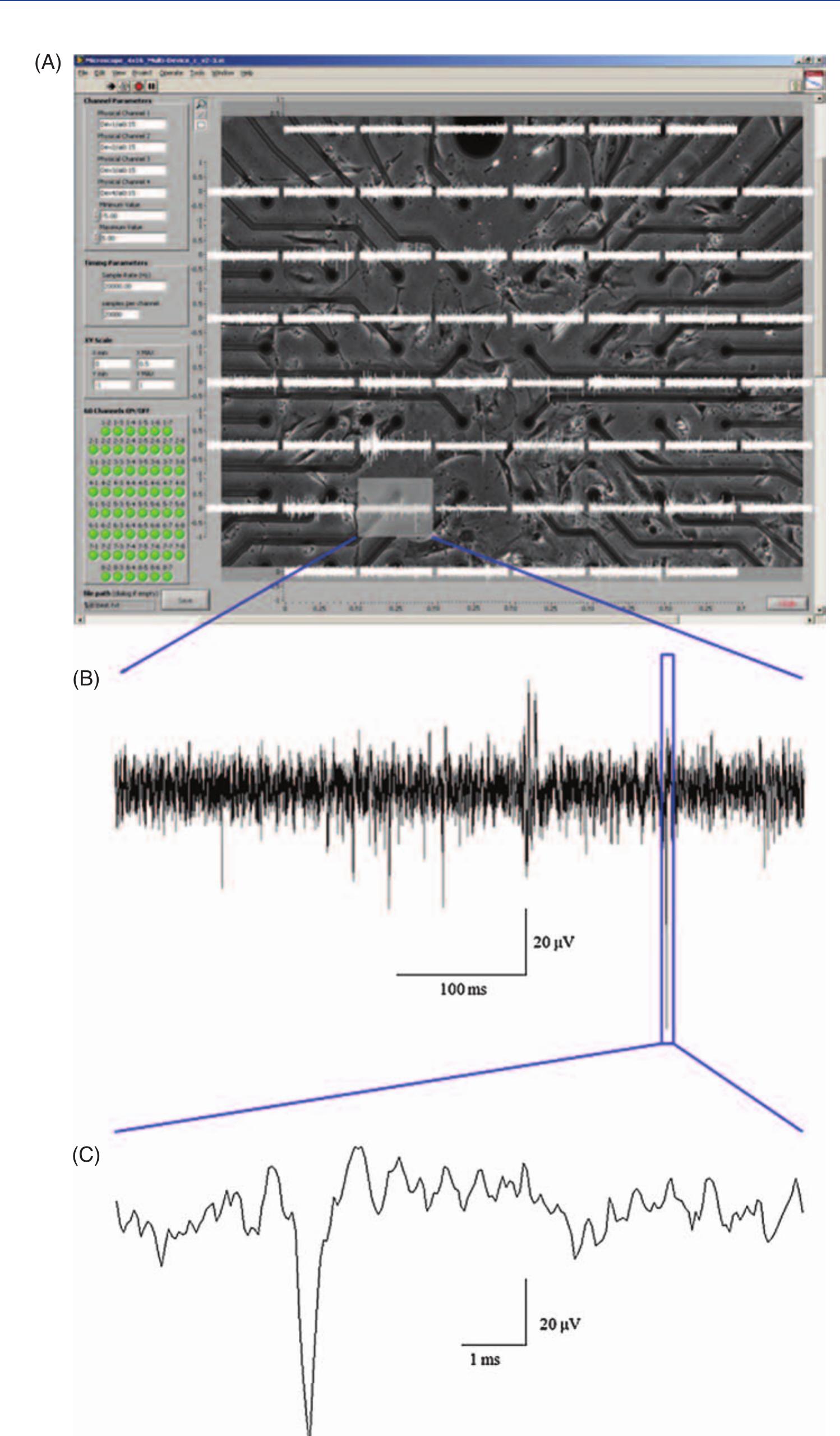 A low-cost multi-electrode array system for the simultaneous