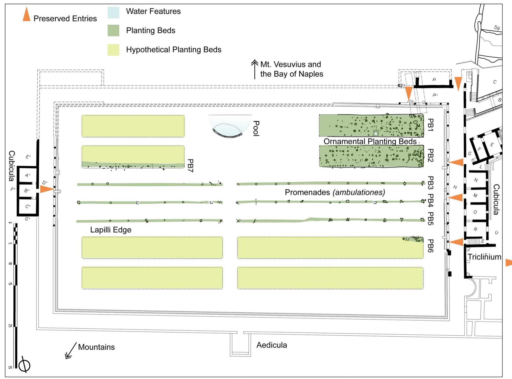 Fig.3 Plan of the Great Peristyle Garden at the Villa Arianna, Stabiae showing the garden beds with root cavities. Michele Palmer, RAS, Parco Archeologico di Pompei 