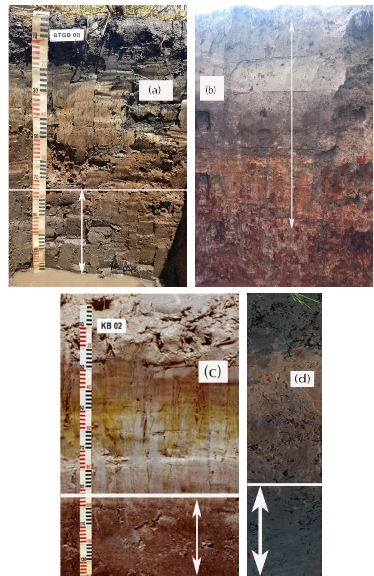 (PDF) Upgrading the Vietnam semi-quantitative soil classification system