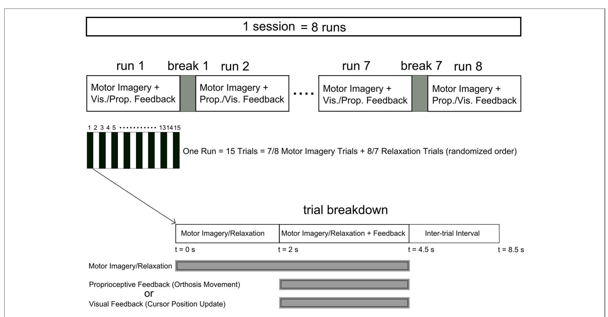 FIGURE 1 | Time course of the neurofeedback training sessions. Each session comprised at least four runs (eight runs for P4, P5, P7, and P8) with a 2 min break between runs. Each run included 15 trials with relaxation and imagery trial performed in a randomized order. The feedback modality was interleaved between visual and proprioceptive across consecutive runs. Each trial started with a 2s interval of imagery/relaxation without feedback followed by a 2.5s section during whict real time visual or proprioceptive feedback was provided. Following a 4s inter-trial interval the next trial started. 