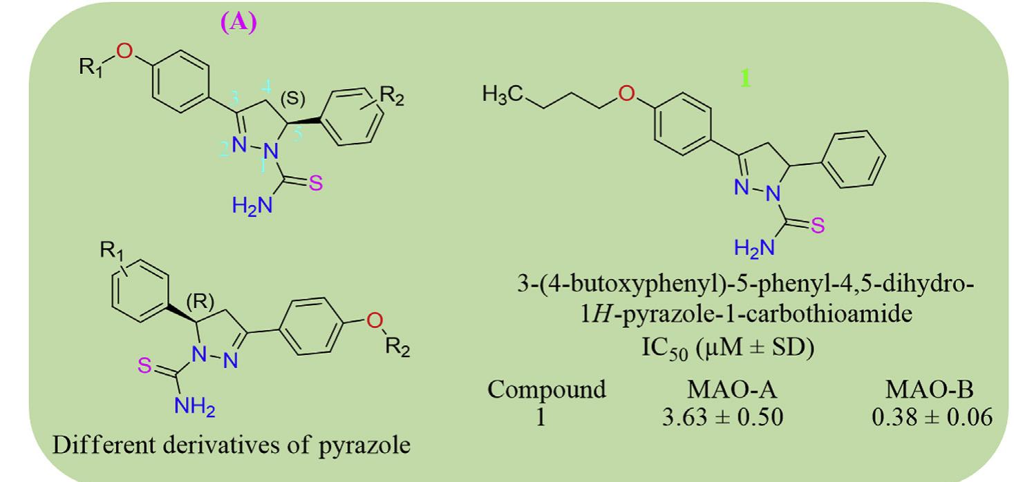 Pyrazole Structure Structure of pyrazole derivatives as mao inhibitors.
