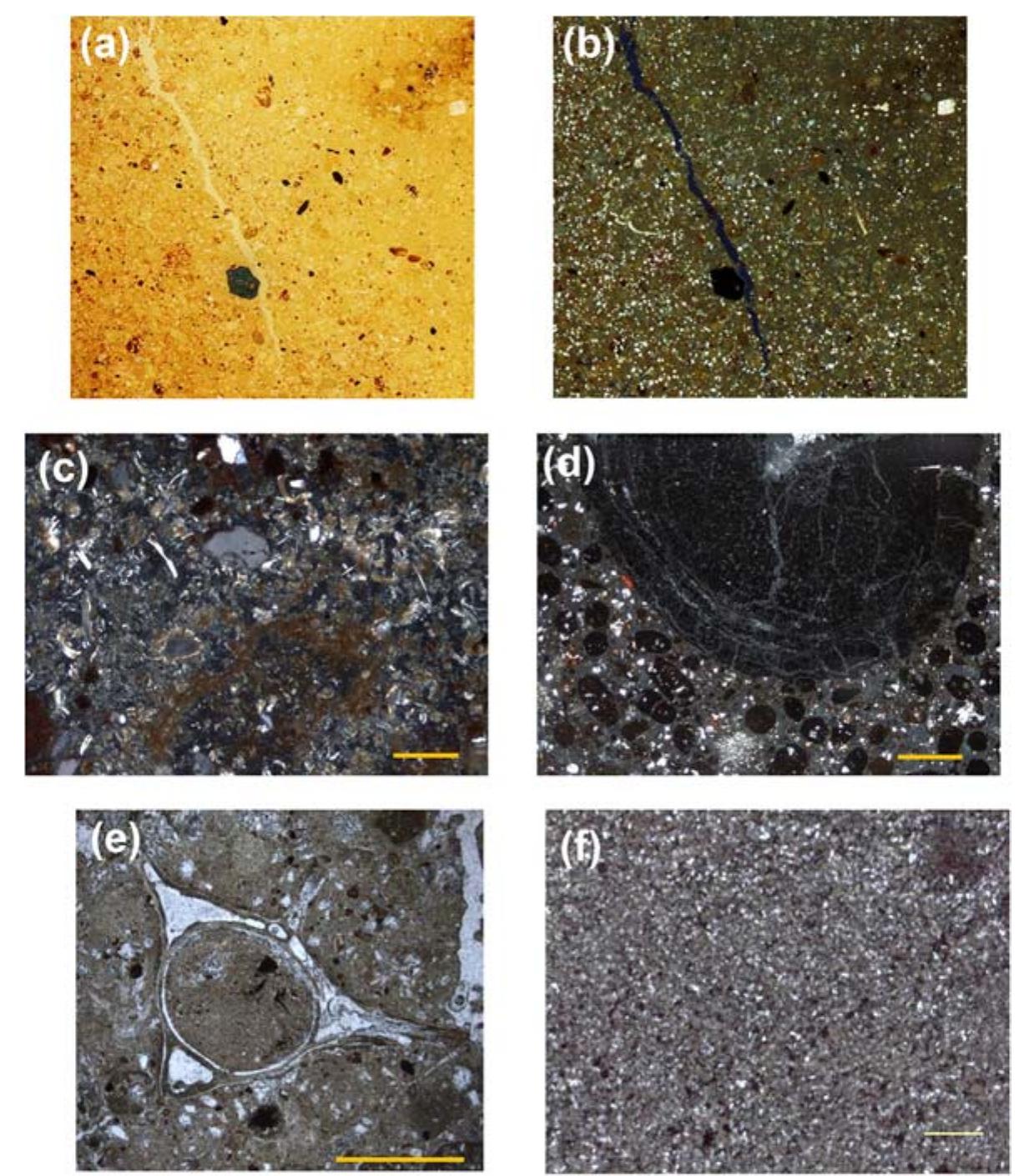 Sediment Roundedness A plane-polarized light micrograph of rounded and subrounded