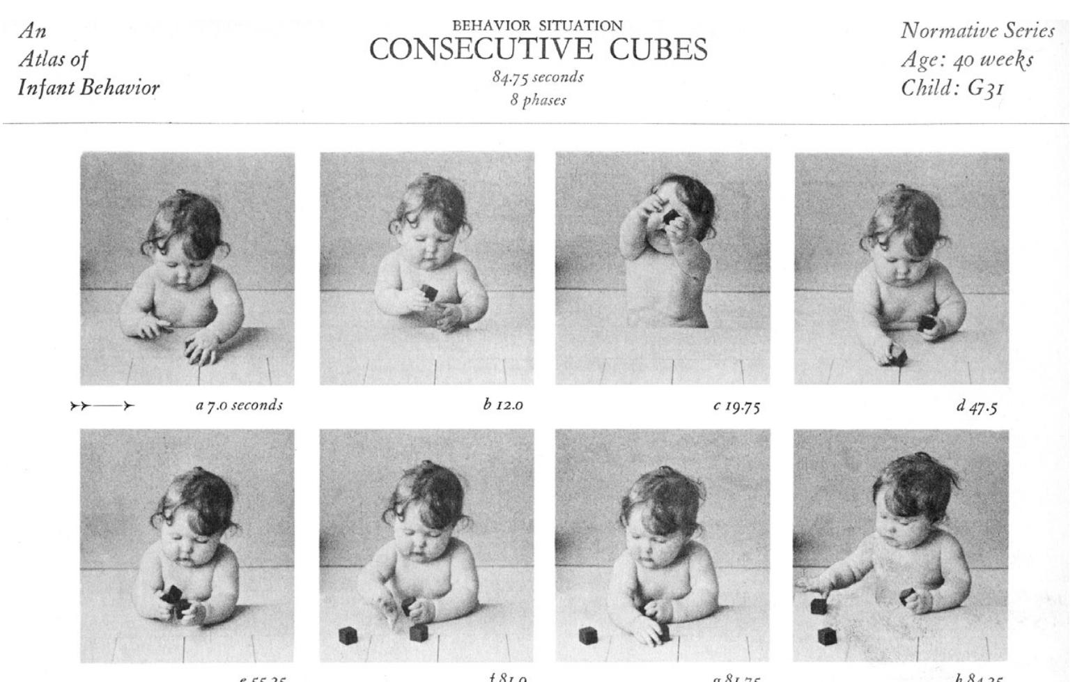 Fig. 4. Consecutive cube behavior. (Source: Arnold Gesell, An Atlas of Infant Behavior, New Haven, Yale University Press, 1934) 