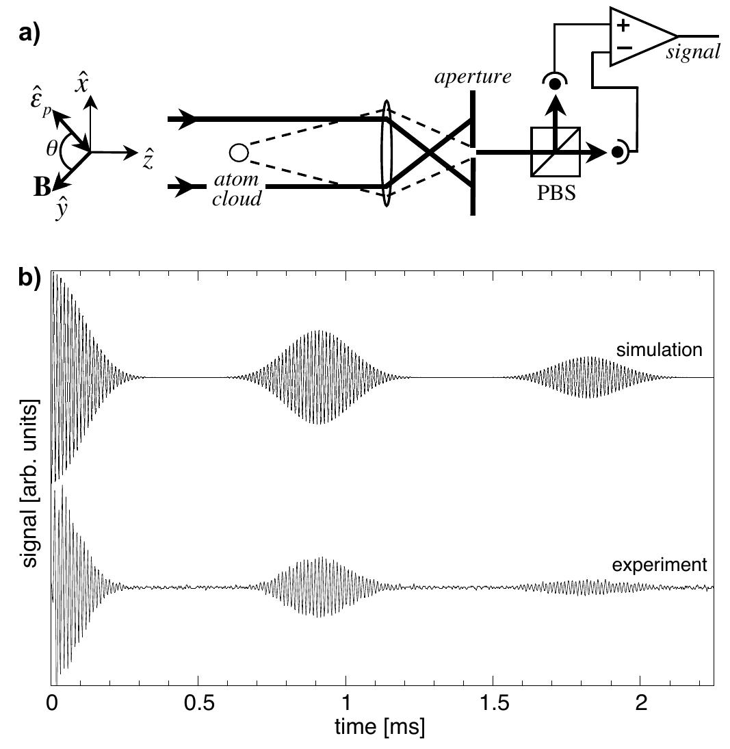 (PDF) Continuous Weak Measurement and Nonlinear Dynamics in a Cold Spin ...